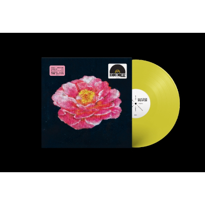 Post Malone: Post Malone Tribute to Nirvana (RSD 2025)