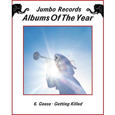Geese: Getting Killed
